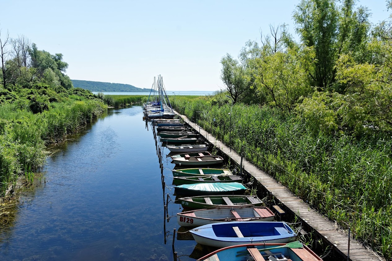 Balaton