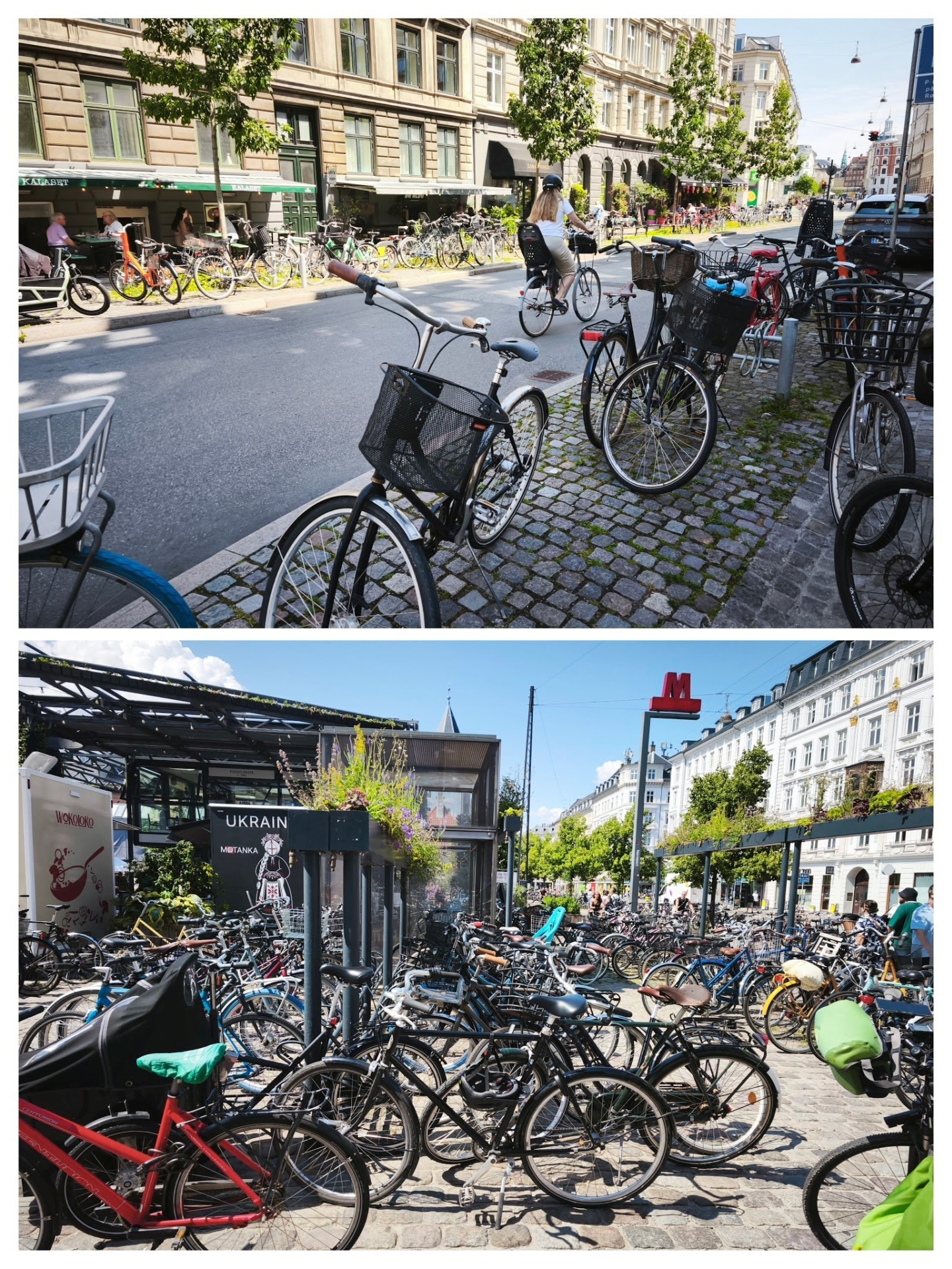 Bicykle sú všade