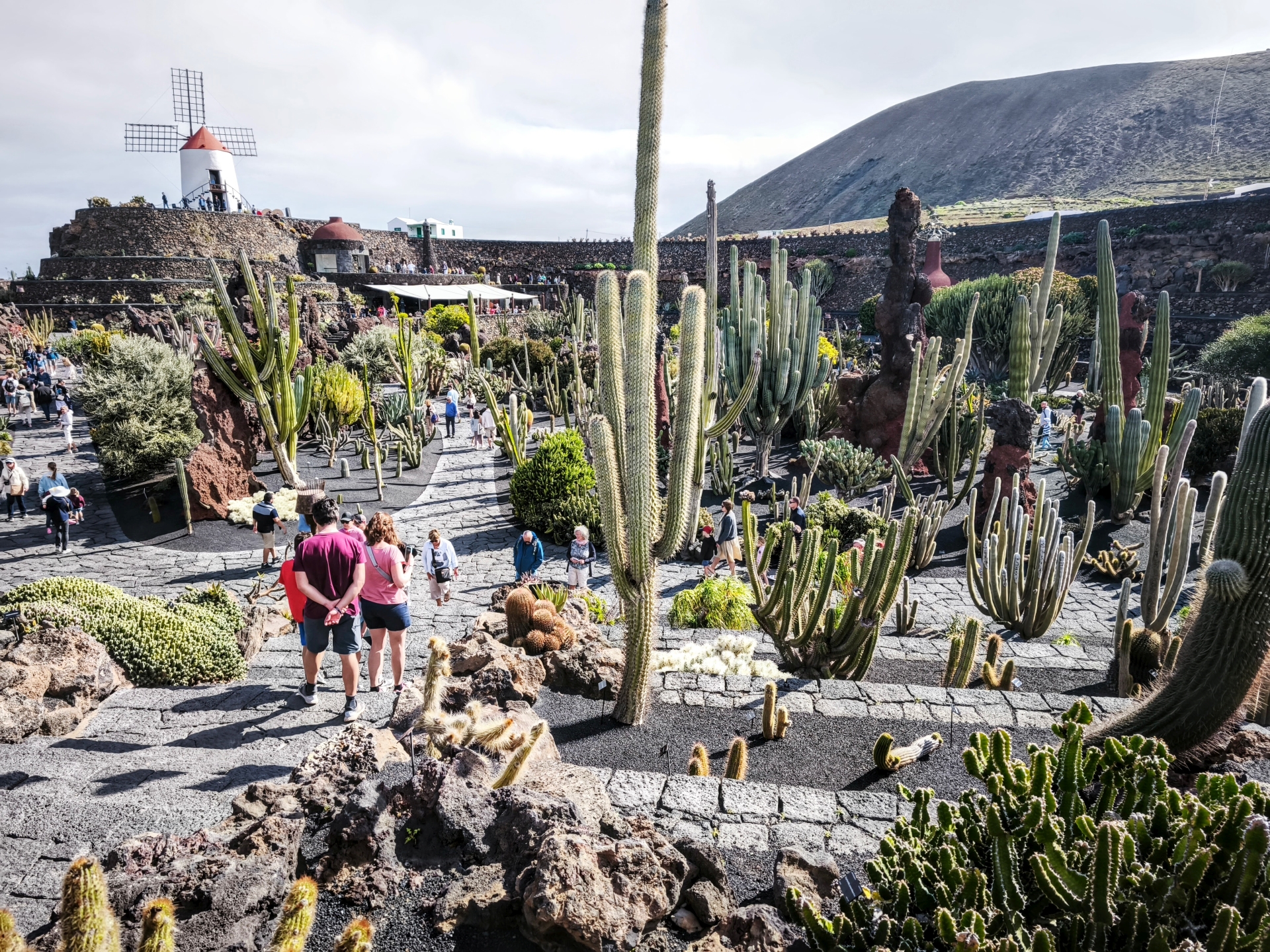 Jardín de Cactus
